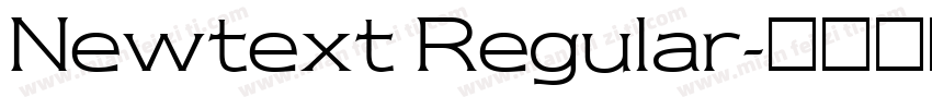 Newtext Regular字体转换